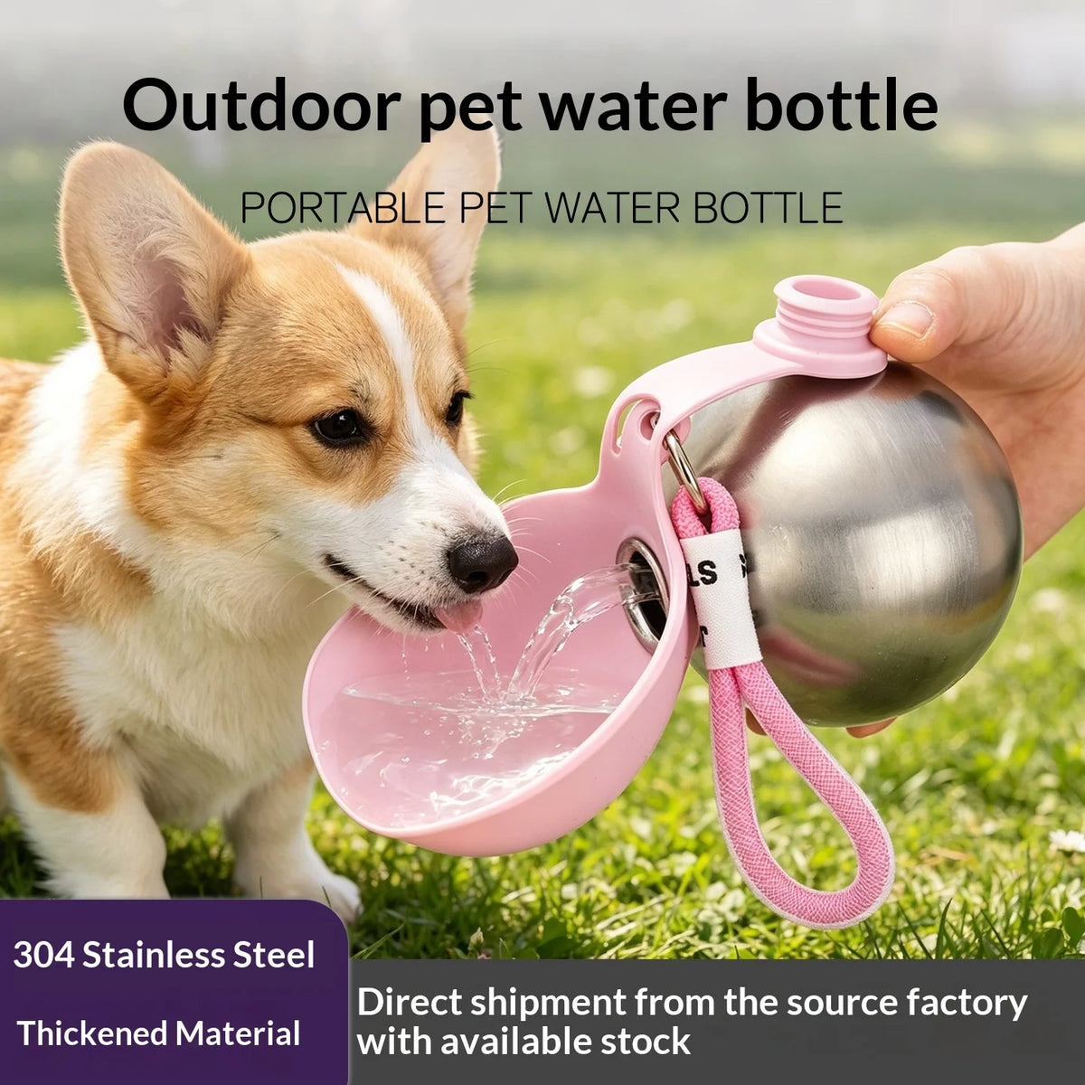 Leashly 2-in-1 Dog Water Bottle 🐶💧